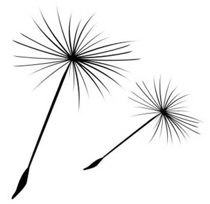 Pappus Umbrella